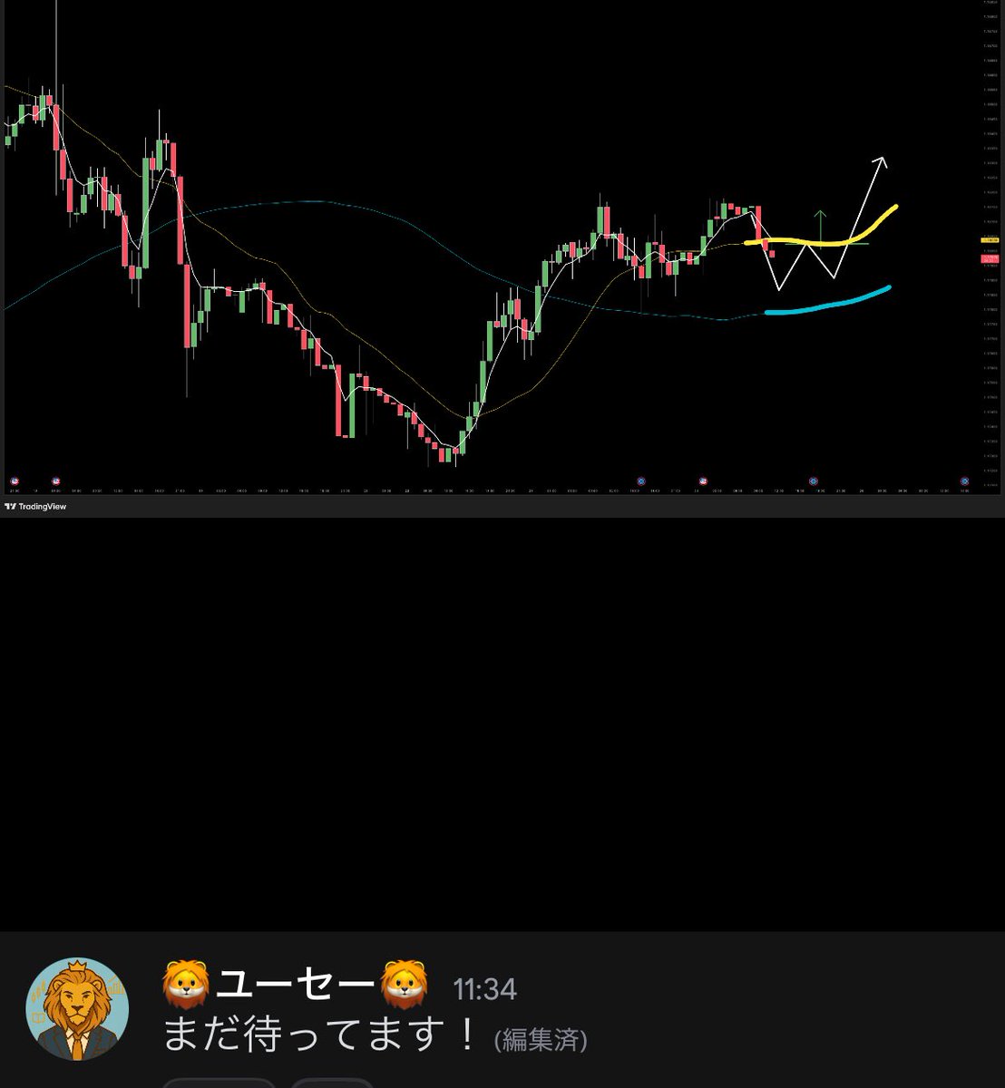 🦁百獣の王 ユーセー🦁 tweet media