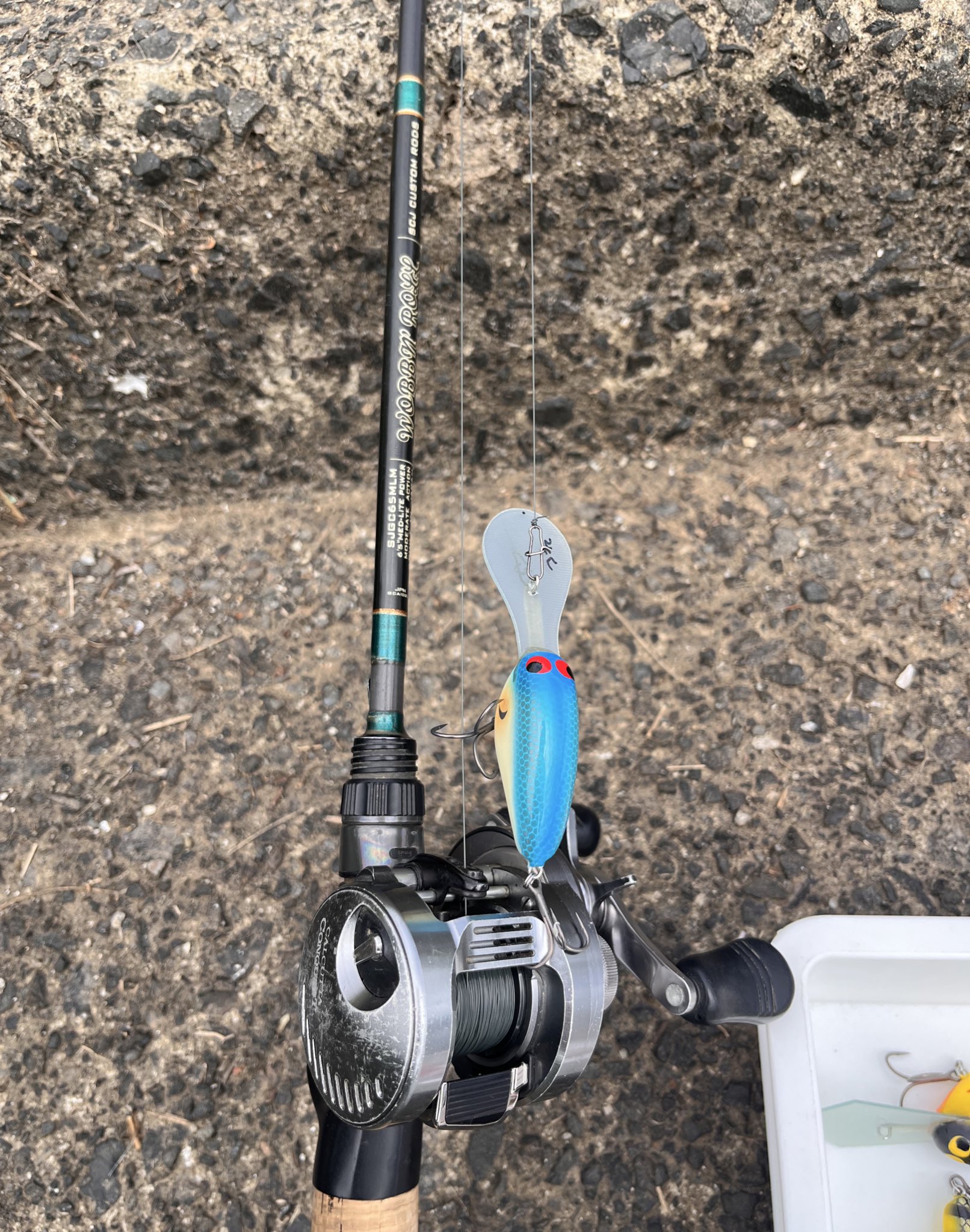 REALCORE (@REALCORE_JP) / X