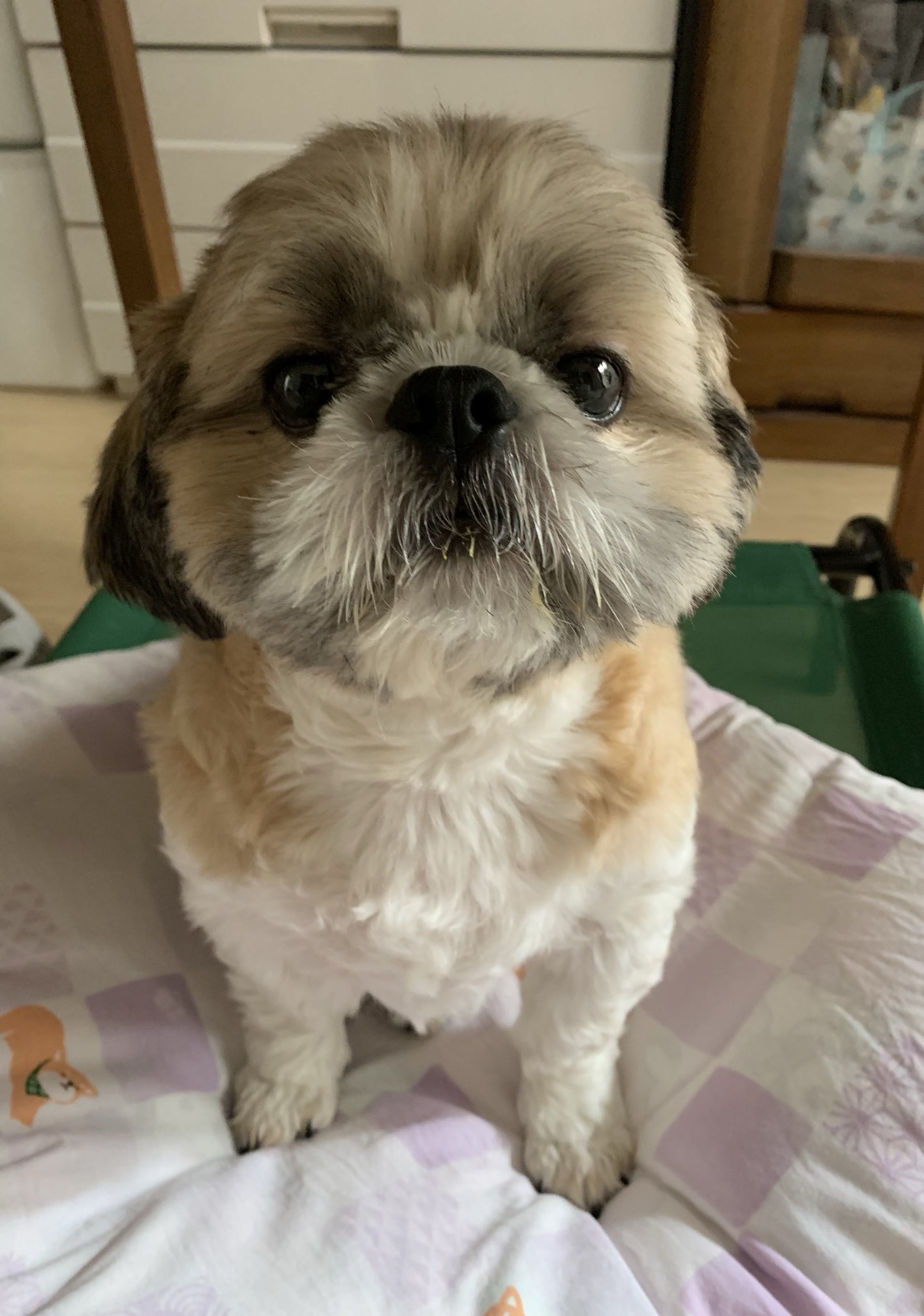 るんるん (@uEkUbof0KAaQukX) / X