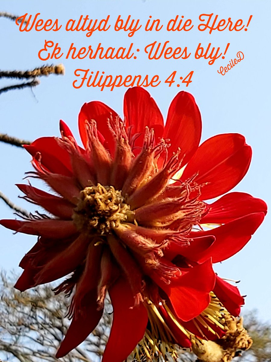 Cecile Vermaak Dorfling (@ceciledorfling) on Twitter photo 