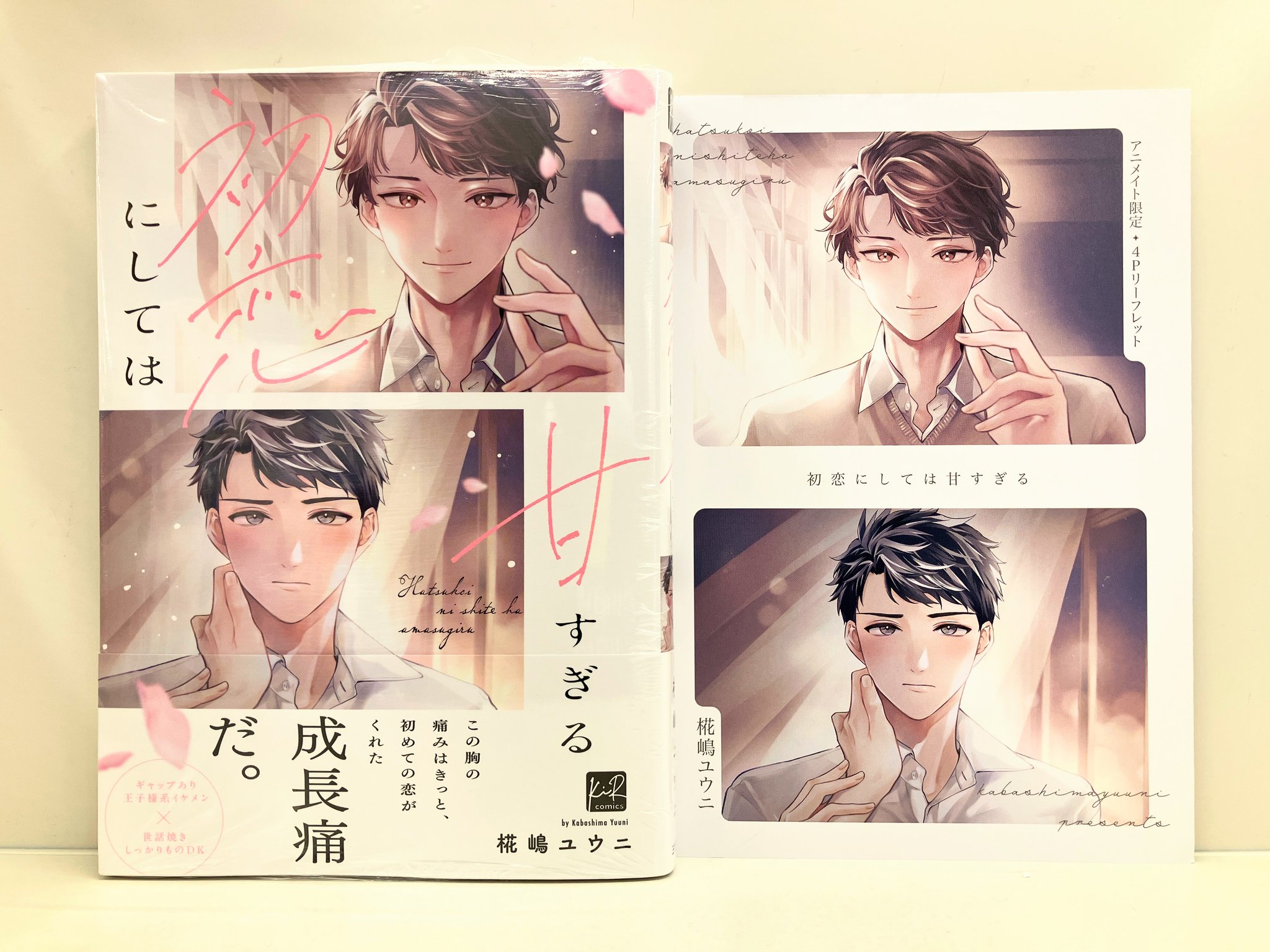 書店限定特典4Pリーフレット付商業BL23冊セット アニメイト京都＠11