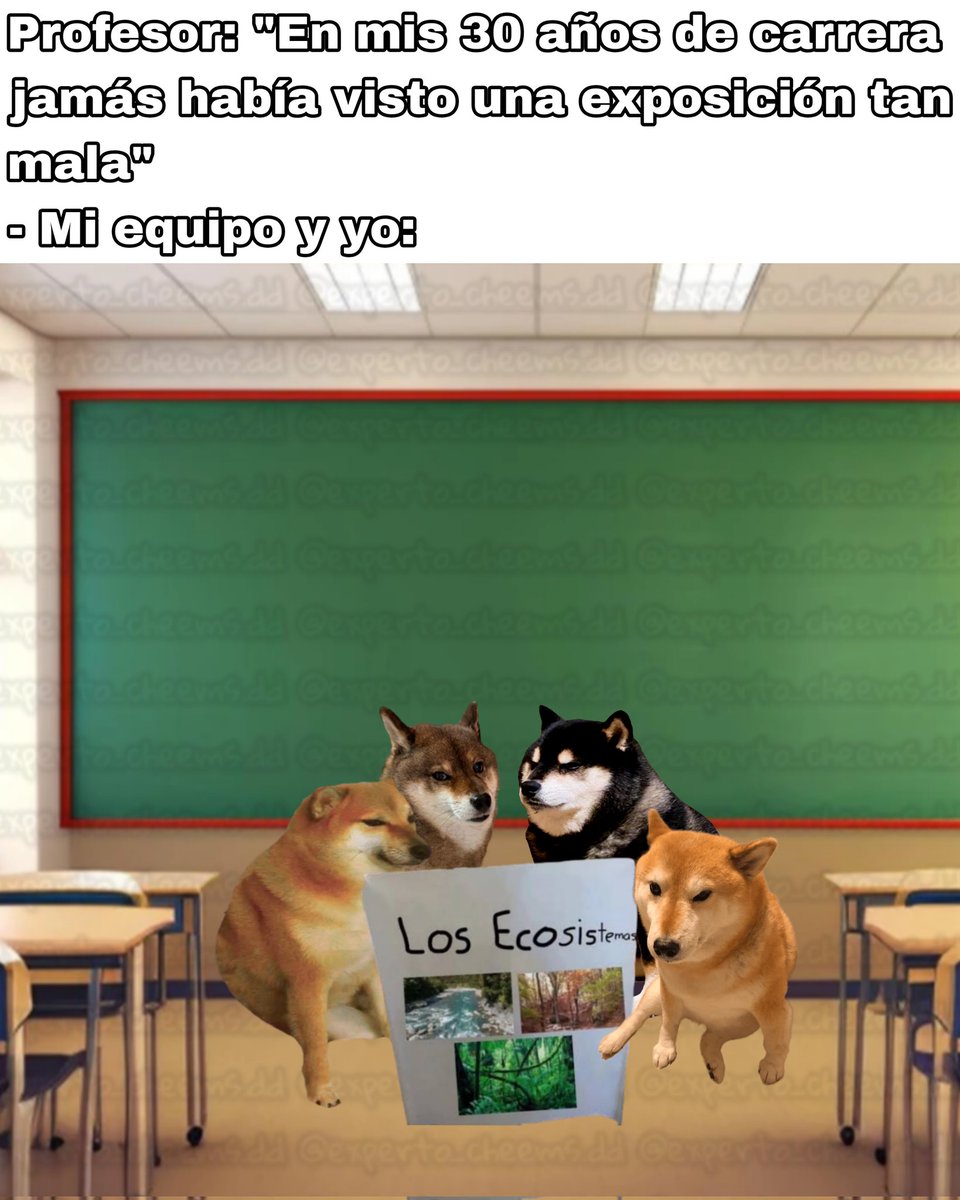 Dandy Daniels - Experto en Cheems :v (@experto_cheems) on Twitter photo 