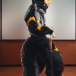 Photo by 烏龍_Woong（98包邮） (@cxx41gmail)