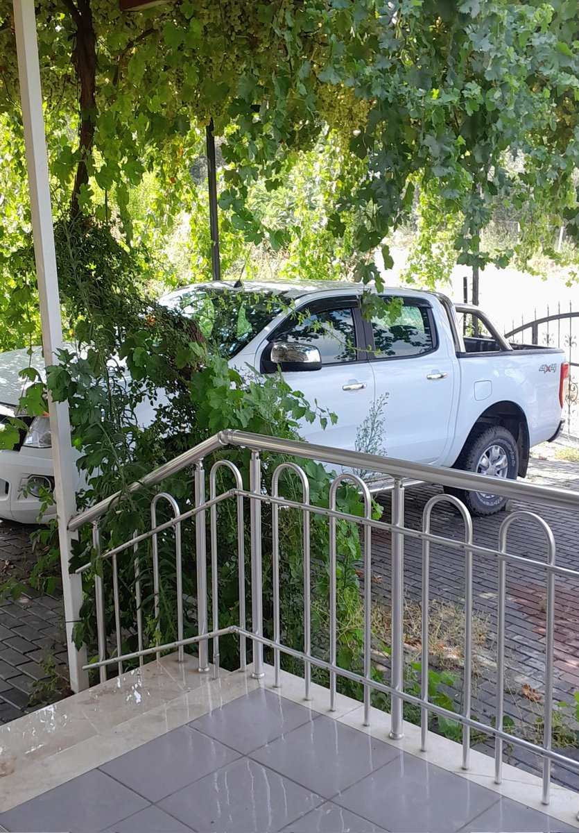 Bugün işimiz  cok üzümler toplanıp pekmez yapılacak hayırlısıyla