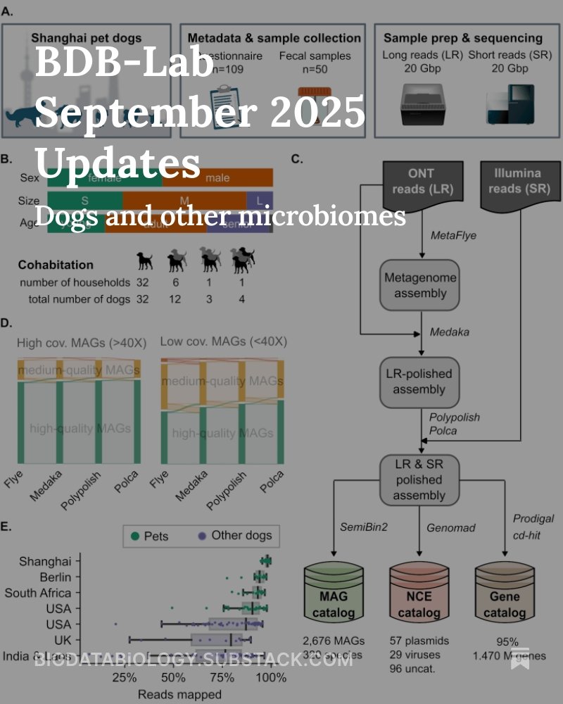 September 2025 updates!

A focus on Anna's preprint, but several other updates too, including Faith Adegoke joining us to work on AMR and several other preprints

bigdatabiology.substack.com/p/bdb-lab-sept…
