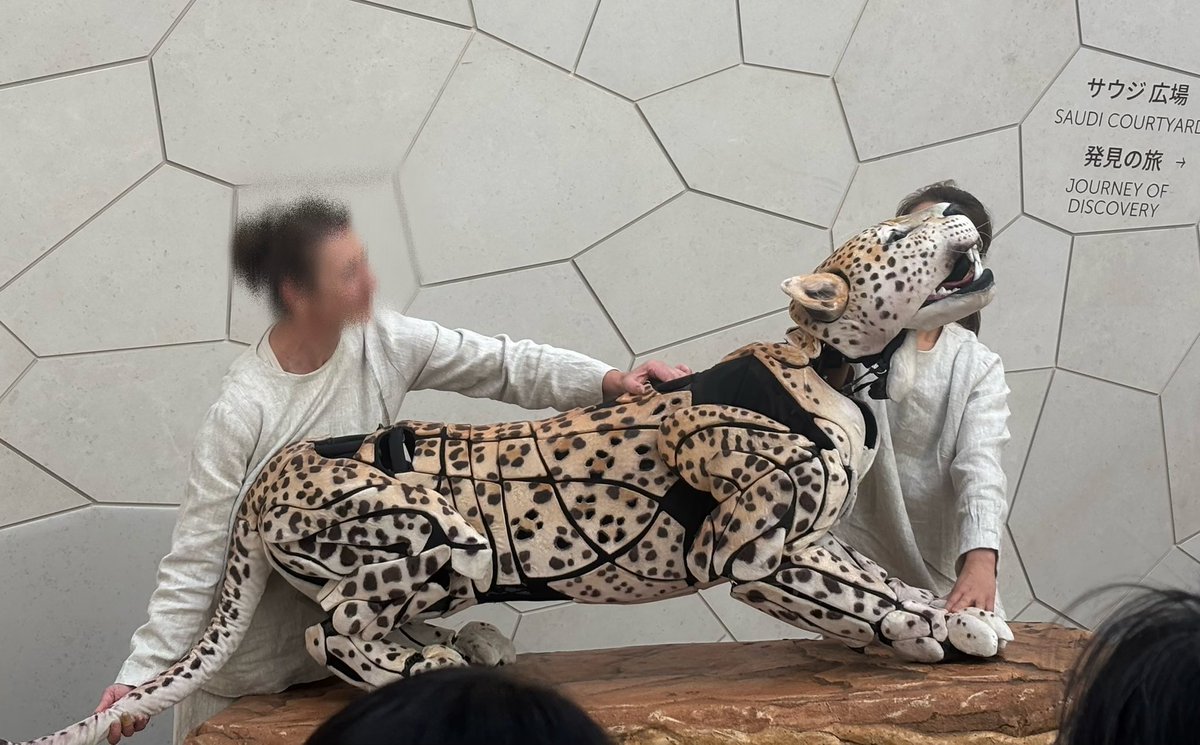 今回の万博はサウジアラビア館を見てきたんだけど、凄くリアルに動く