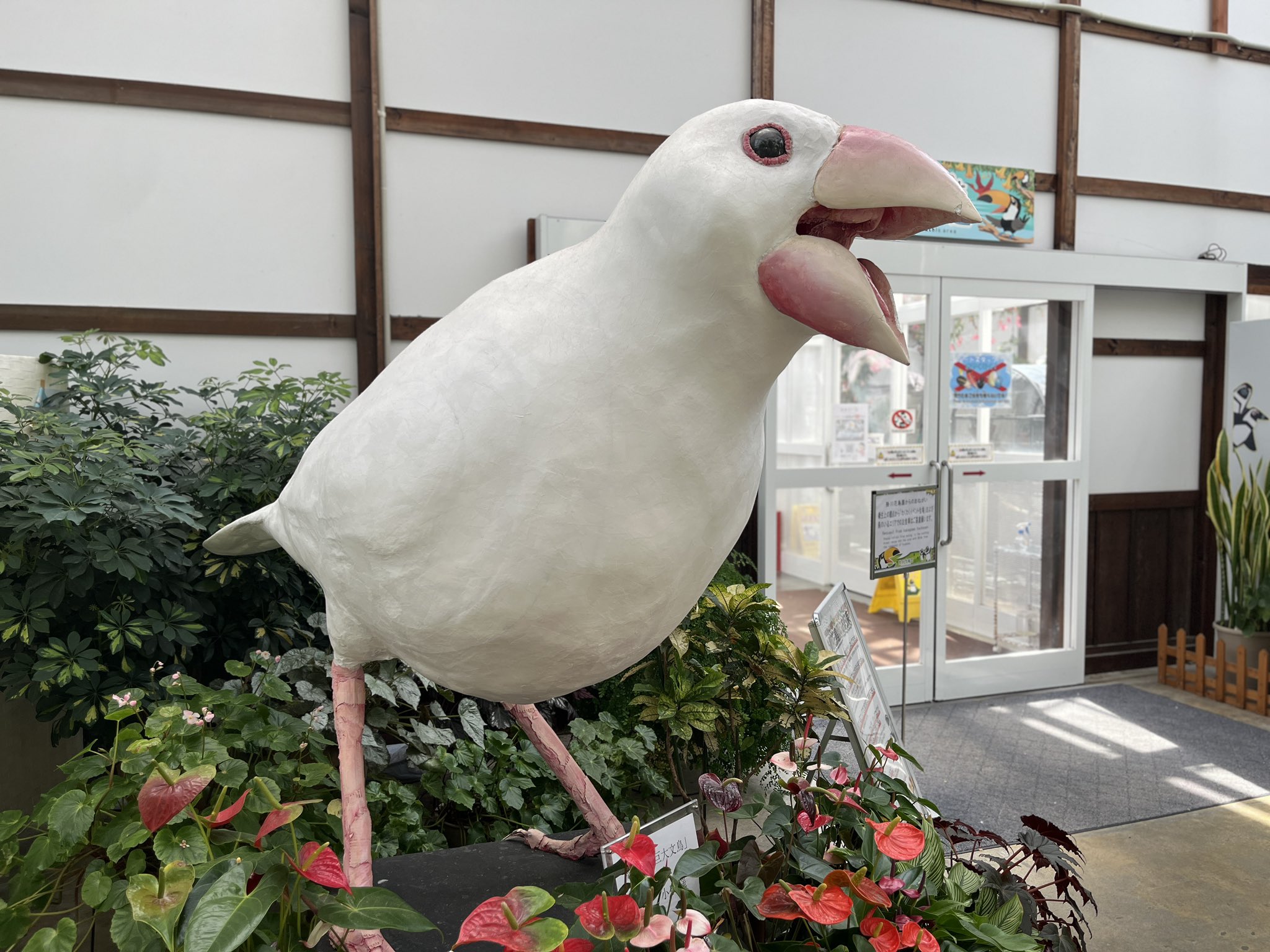 どりさん（ドリP） on X: 