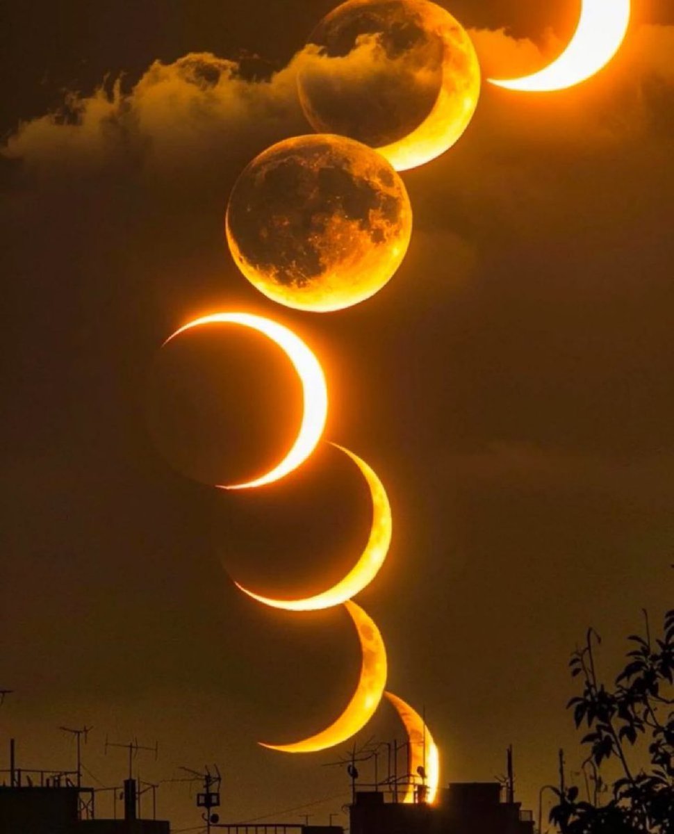 Phases of the Moon  🌙