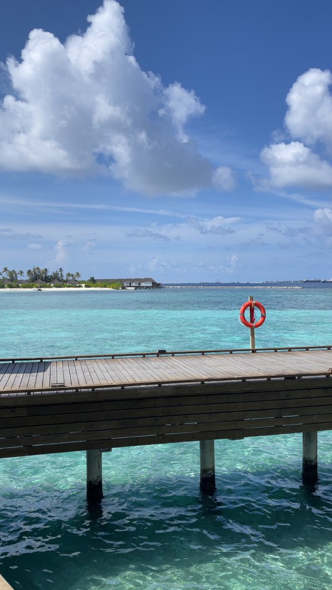 Hamvdv's tweet image. 