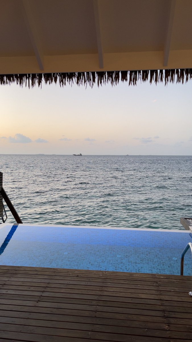 Hamvdv's tweet image. 