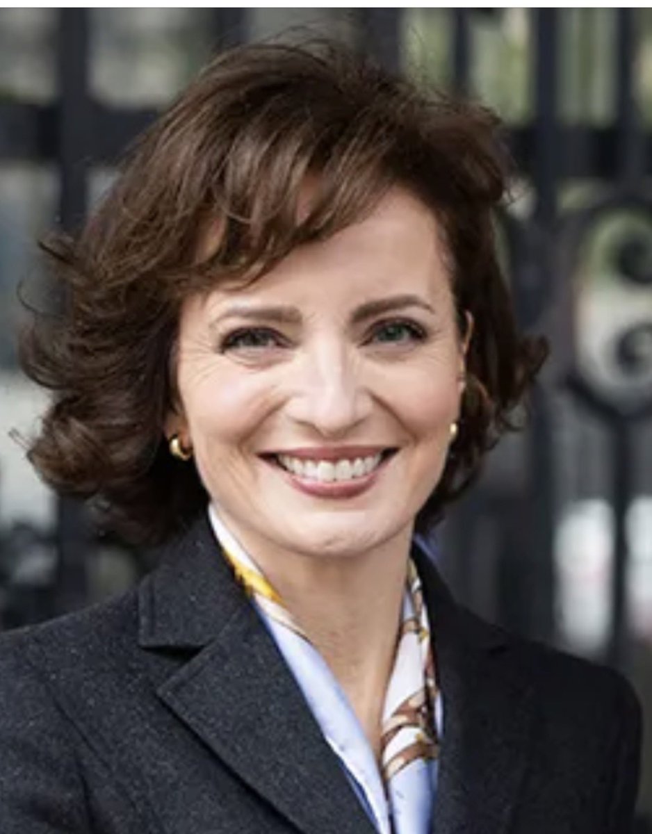 They organised an embargo to prevent #MariaSteen from even being on the ballot paper to contest the presidential election. 
That's not parliamentary democracy, it's thuggery, and what makes it worse is that women supported that male-oriented embargo 'against another woman.'