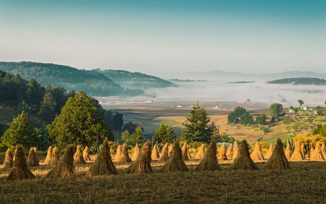 EliseoSandovalH's tweet image. Mi ranchito querido 😍. El Consuelo, San Felipe del Progreso.
#eliseochangoleon #patadeperro #rancheros #rancho #miranchito #campo #Campesino #nostalgia #Nostalgie #Edomex #sanfelipedelprogreso #niebla #Turismo #turismomexico #Mexico