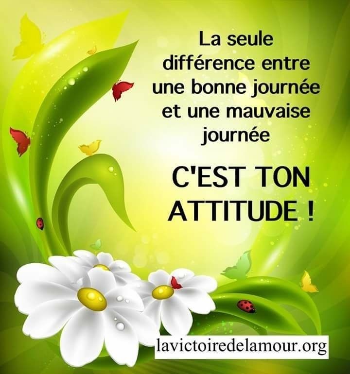 La seule différence...