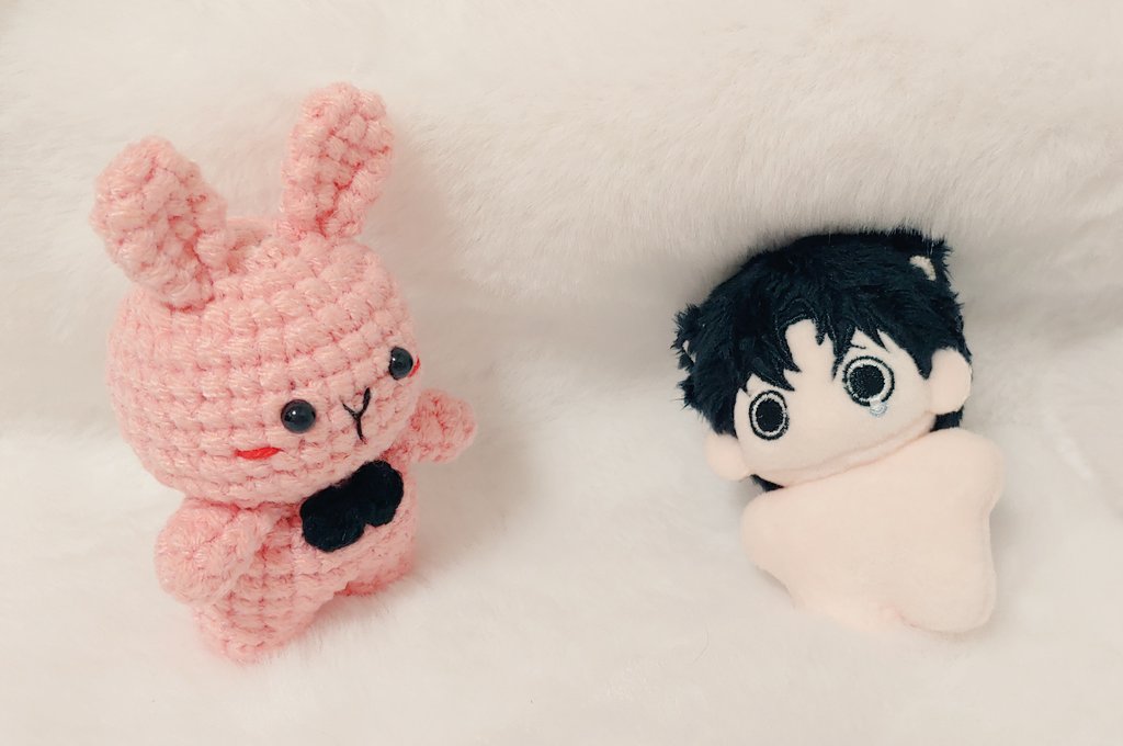 솔음이 비오는데 무사히 도착했네
쪼꼬미 넘 귀여워!!