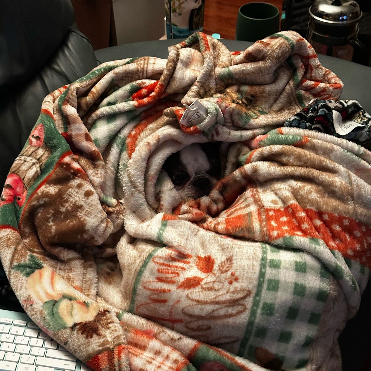 Mochi in her element