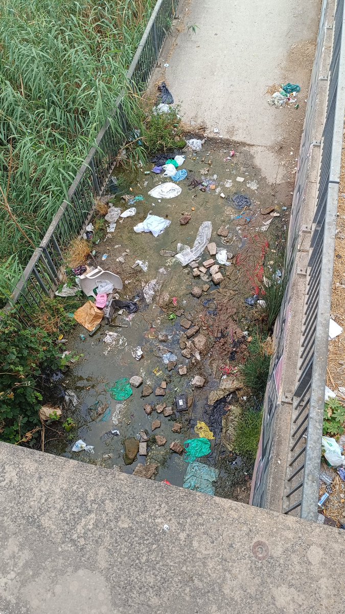 Estos son los senderos del Guadalmedina... intransitables, sucios, abandonados.
Nuestro río solo les vale para la propaganda electoral y poco más.
<a href="/pacodelatorrep/">Paco de la Torre</a> un poco de respeto con el Guadalmedina 
<a href="/LimasamOficial/">Limpieza de Málaga</a> entre ambulatorio y campo futbol <a href="/MalagaCF/">Málaga CF</a>