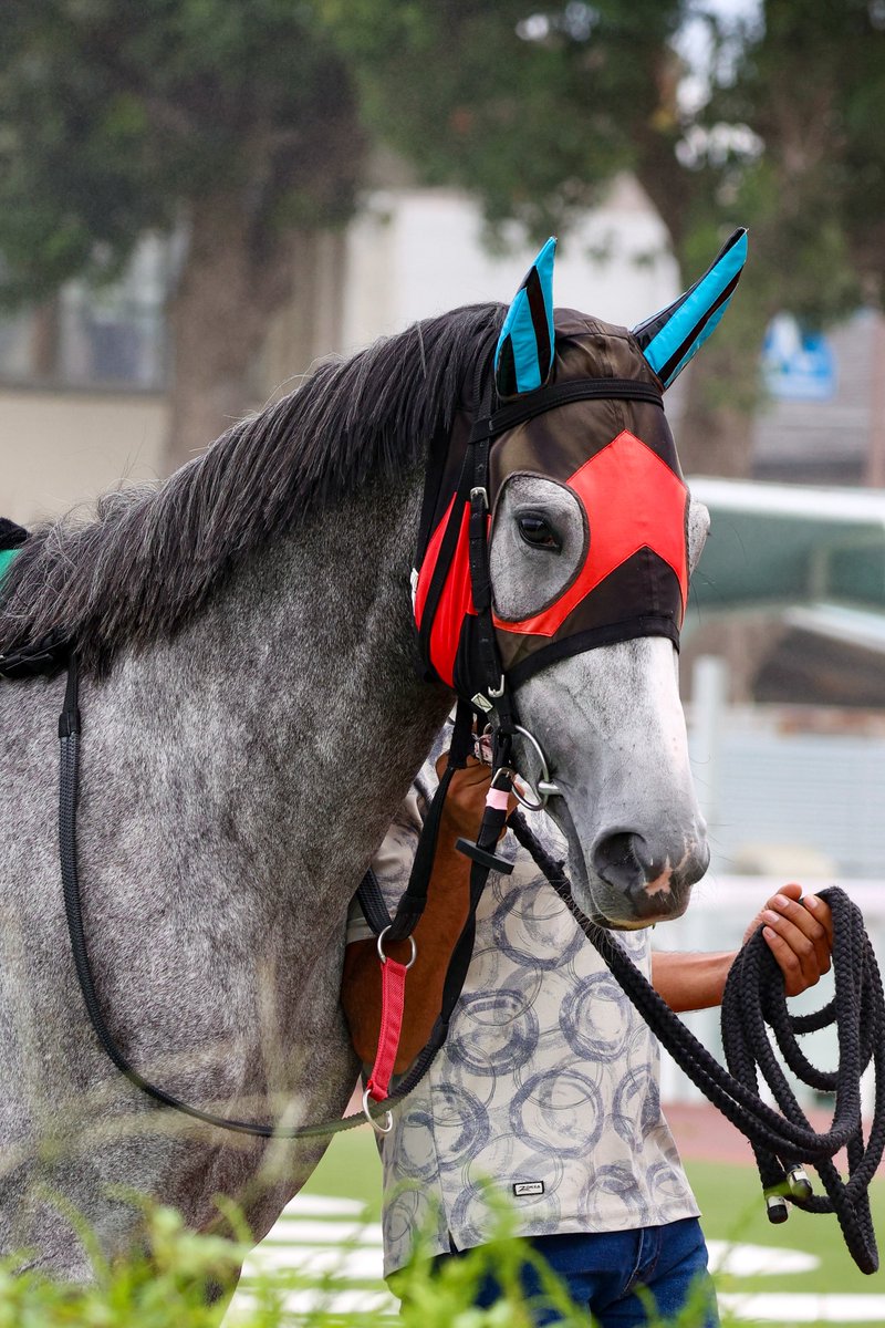 にぼしの出がらし (@kirakiraboshi45): 