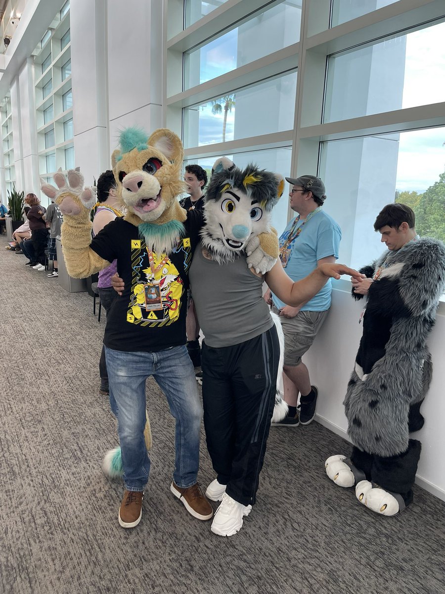 BritSnow0w0's tweet photo. Had an amazing con the past weekend, met lots of nice and cute furs.
Till next time @AFC!!!
@SaveliyFox 
@tinedambereagle 
@PapiMontelobo https://t.co/sWQZ78HuRT