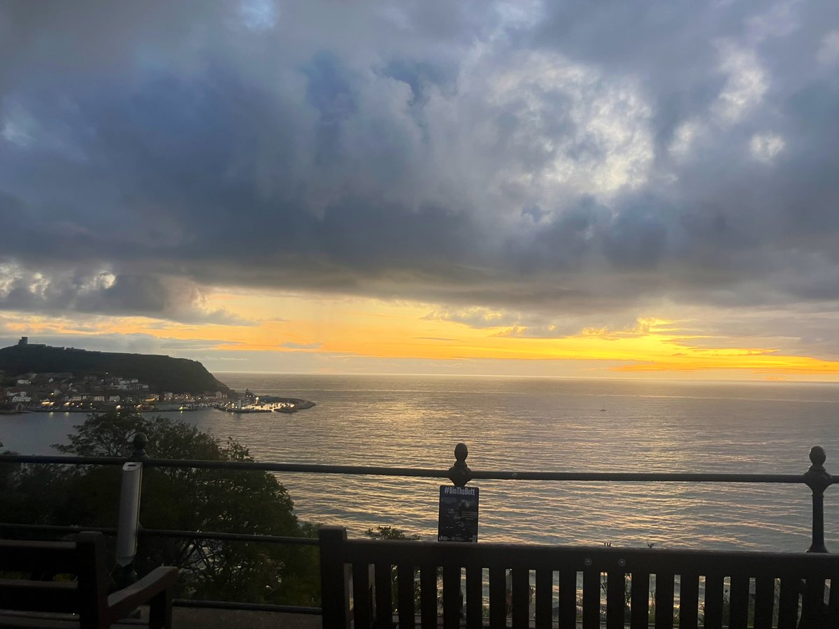 Tess Page tweet media