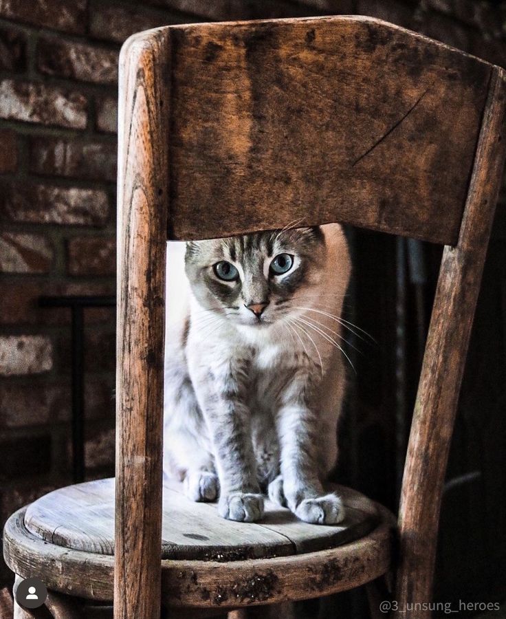 Günaydın 🍀🐞☕

Herkese kolay gelsin 🙋‍♀️