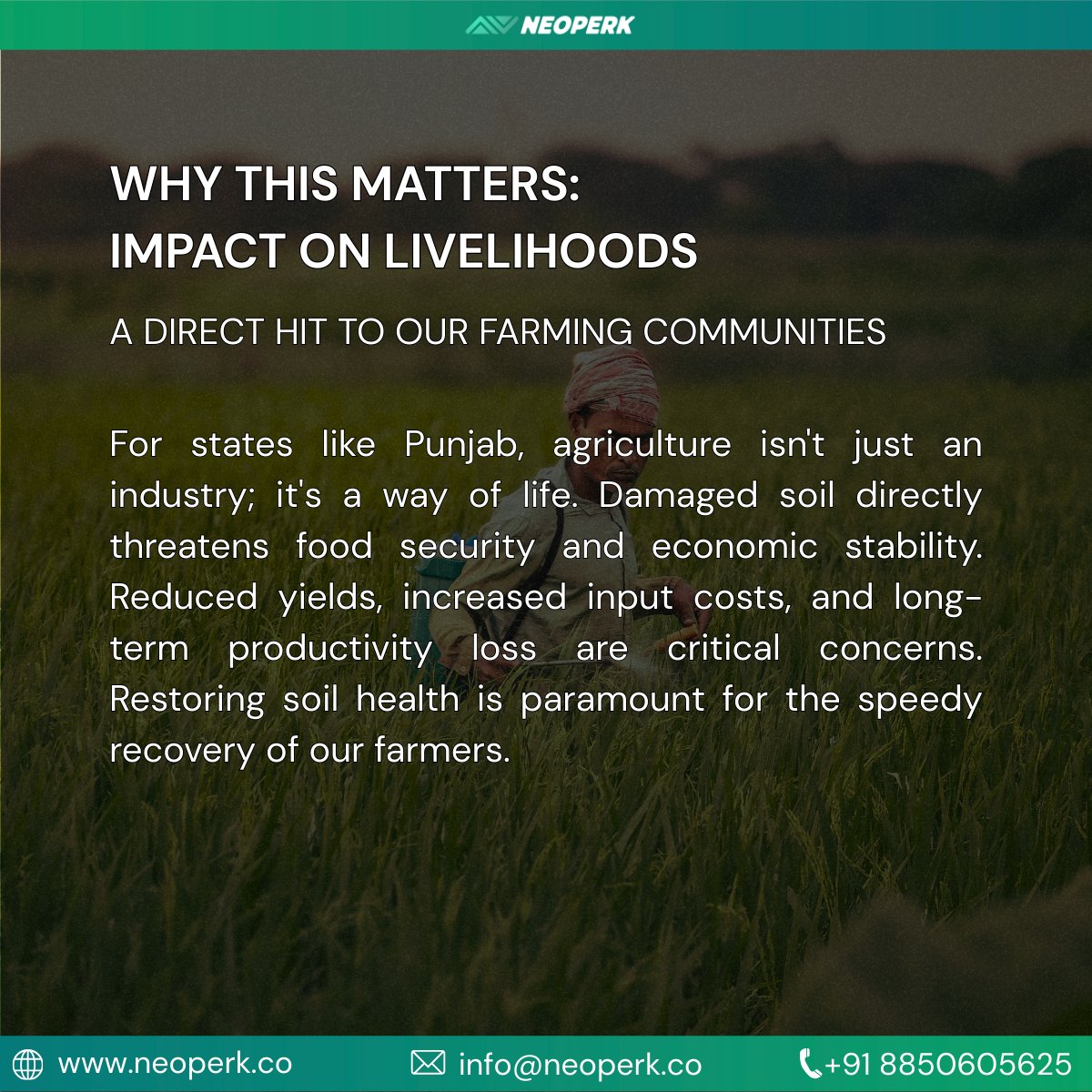 Neoperk Technologies Private Limited tweet media