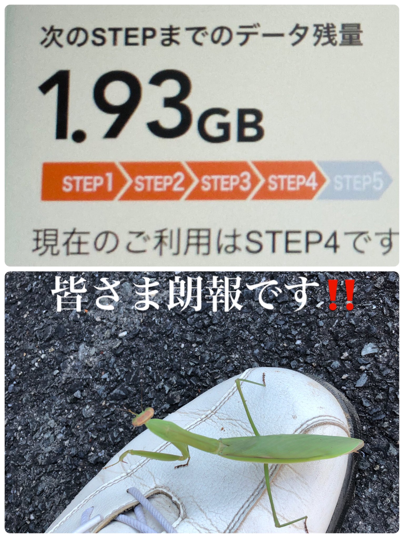 PU.さま専用です♡（リピーター様）※購入時に桁を変更致しますね(≧∀≦)♡ UPするぞー - Search / X