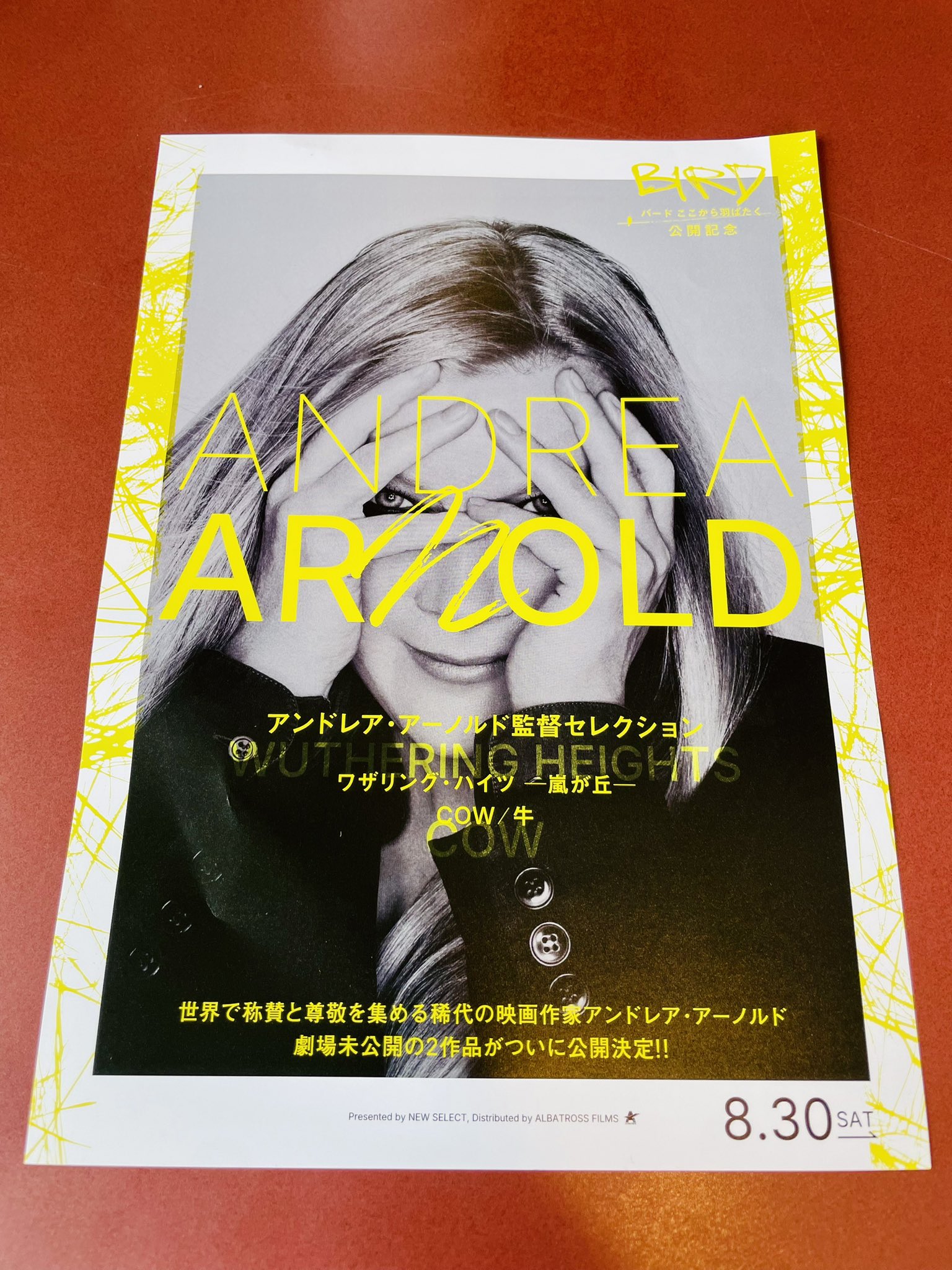 灘 奏子 Soko Nada on X: 