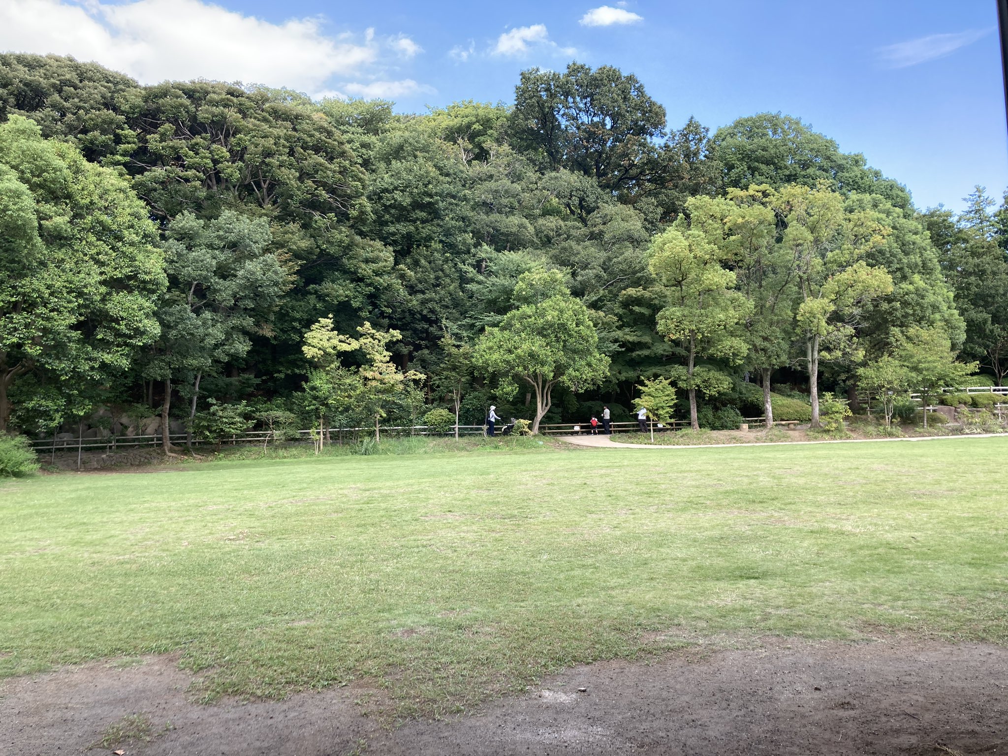 Johnny's - たぬきちページ たぬきち (@tanukichi1go) / X