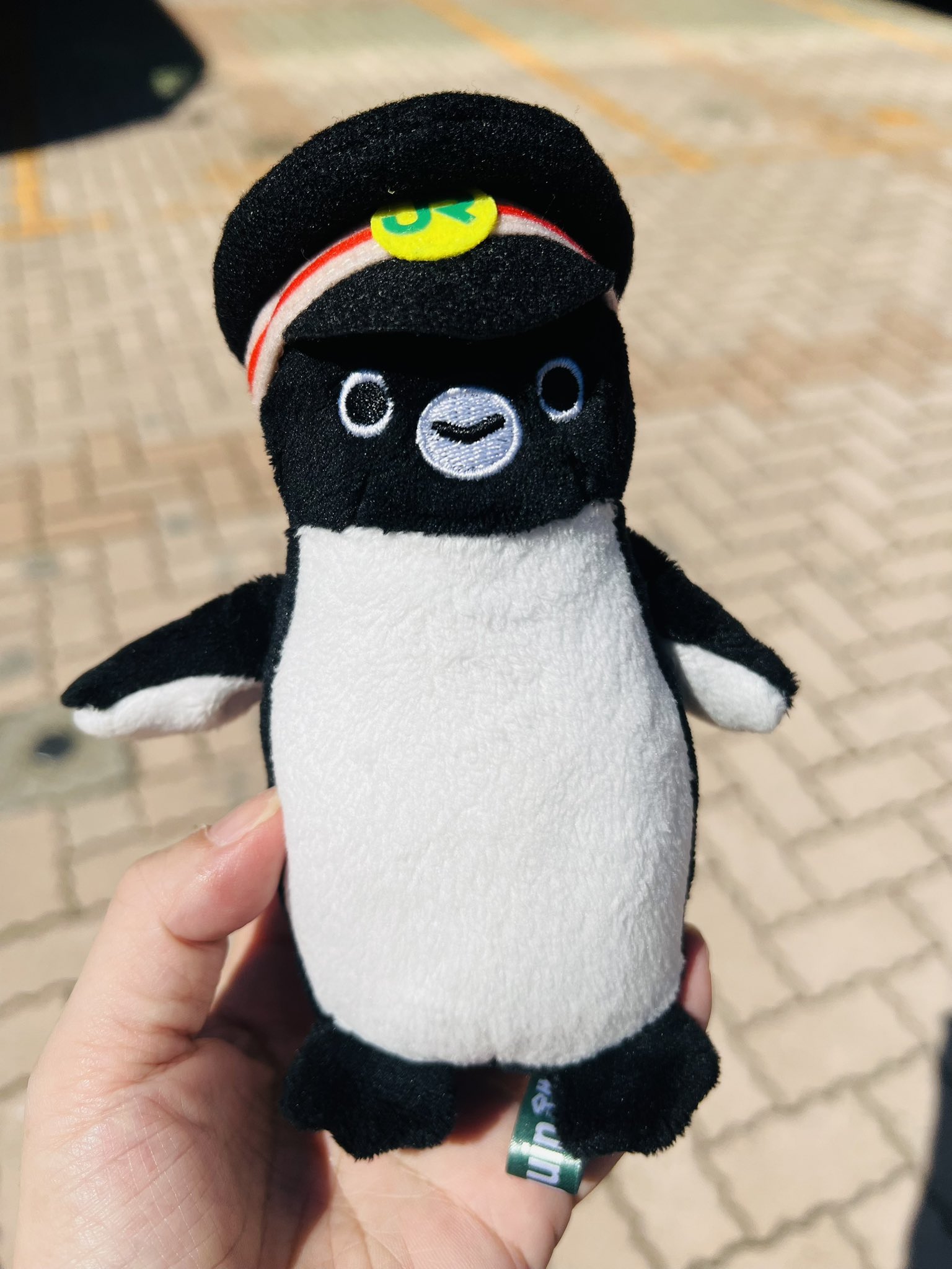 ペンギン賞品③ Amazon.co.jp: Smart Games ペンギン・オン・アイス 脳トレ