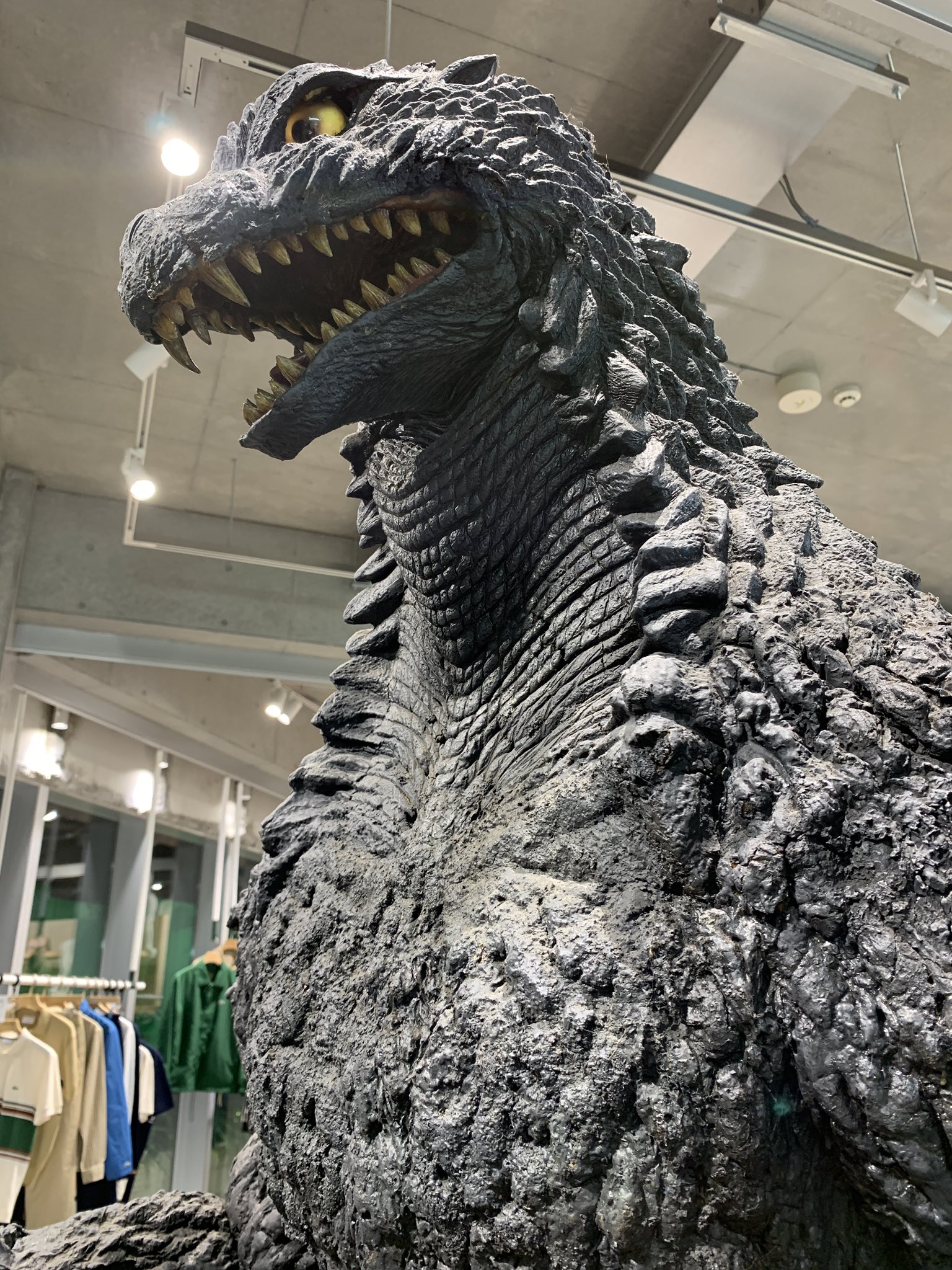 Lacoste × Godzilla Hoodie ラコステ ゴジラフーディー4 ラコステ x ゴジラ パーカー 黒 4 US M LACOSTE GODZILLA HOODIE 新品