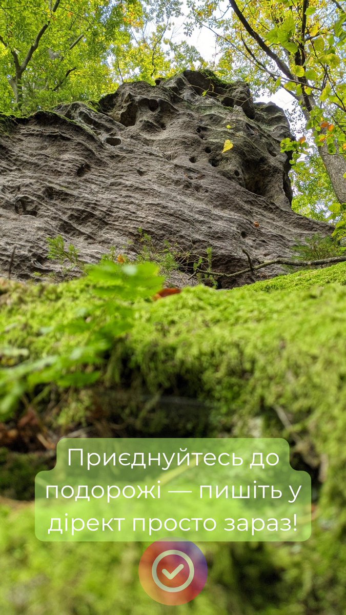 🇺🇦🇨🇿 tweet media