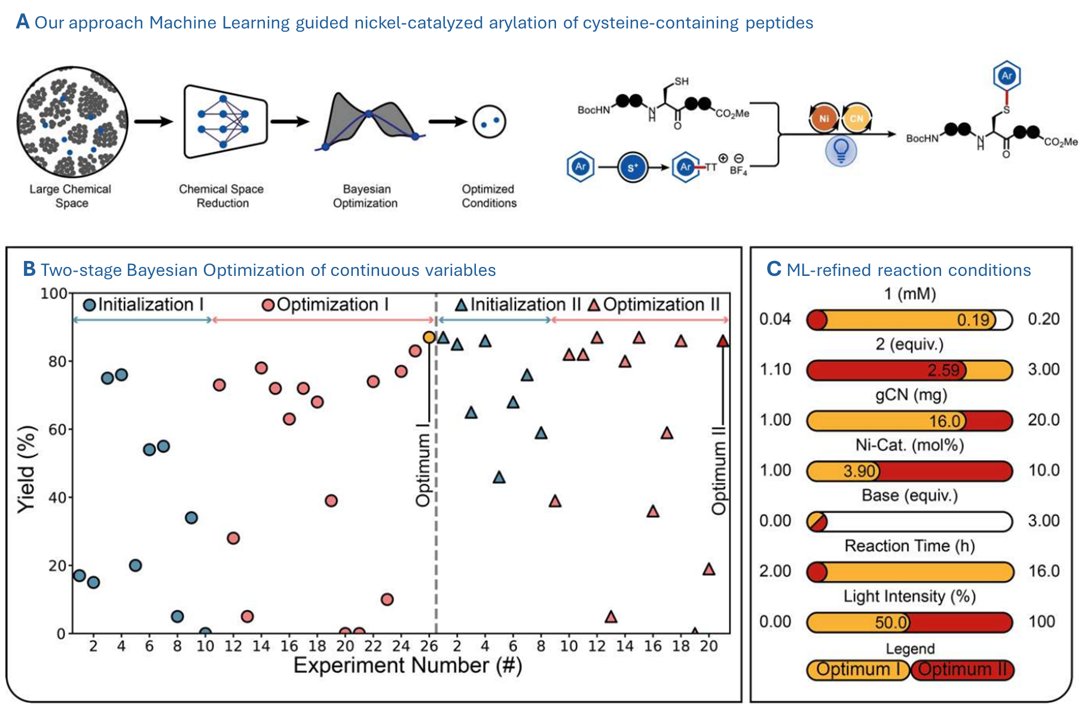 NoelGroupUvA's tweet image. We built a machine learning–guided workflow to optimize reaction conditions for photochemical nickel-catalyzed cysteine arylation; no specialized robots or fancy HTE plates needed!

Check it out @ChemRxiv:
chemrxiv.org/engage/chemrxi…

#MachineLearning #ReactionOptimization