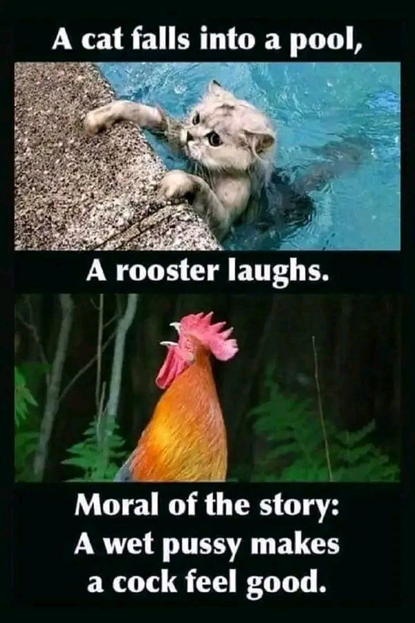 derrick_charles's tweet image. 