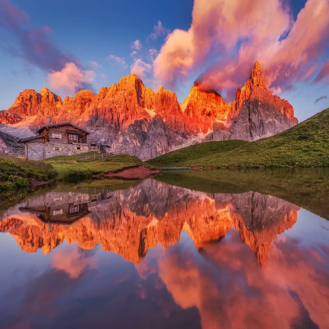 Happy 💐💐 Wednesday