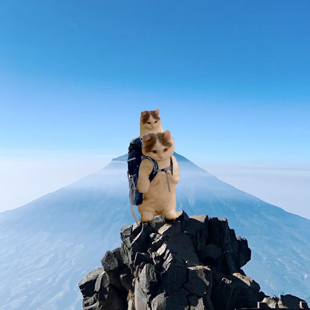 <a href="/binance/">Binance</a> gmichi.