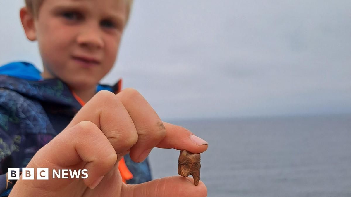 A boy who found what he thought was a shark tooth has led to the discovery of a historic human burial site. bbc.co.uk/news/articles/…