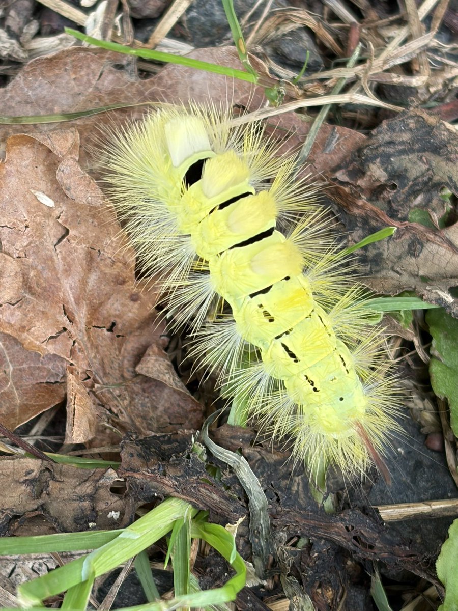 Fund auf der Hunderunde