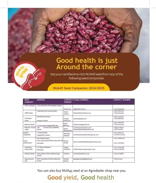 HarvestPlus Zimbabwe (@harvestpluszim) on Twitter photo Secure your seeds early!๐ฉโ๐พ Donโt wait for the last minute! Buy your vitamin A maize, Iron beans, Iron Cowpeas, and vitamin A orange sweet potato vines/seeds now๐ฝโ
. See the below flyers for information on where to buy seeds๐ Secure your seeds early!๐ฉโ๐พ Donโt wait for the last minute! Buy your vitamin A maize, Iron beans, Iron Cowpeas, and vitamin A orange sweet potato vines/seeds now๐ฝโ
. See the below flyers for information on where to buy seeds๐