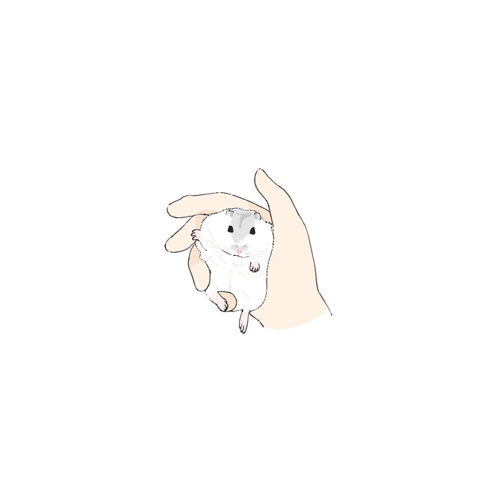 うちの実家で飼っているハムスターさん、抱っこさせてくれたんだけど、すごく強者、ツワモノの座り方すぎる