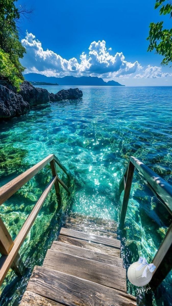 Have a wonderful day everyone!💫💜☕️☘️