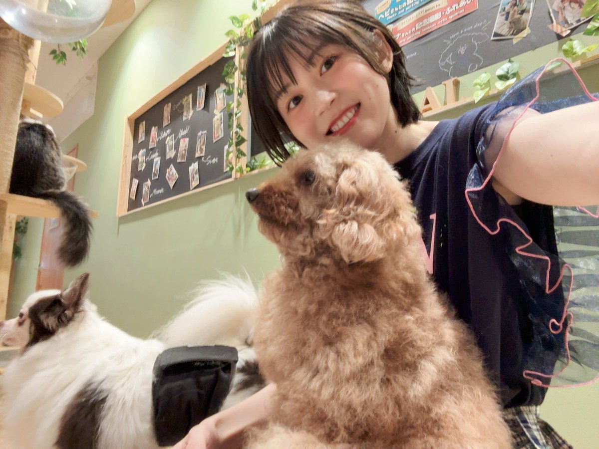 声優　中島由貴　ぬいぐるみ　ゆきぬい　バースデーイベント ☆加古川物流】【美品】声優 中島由貴 ぬいぐるみ ゆきぬい