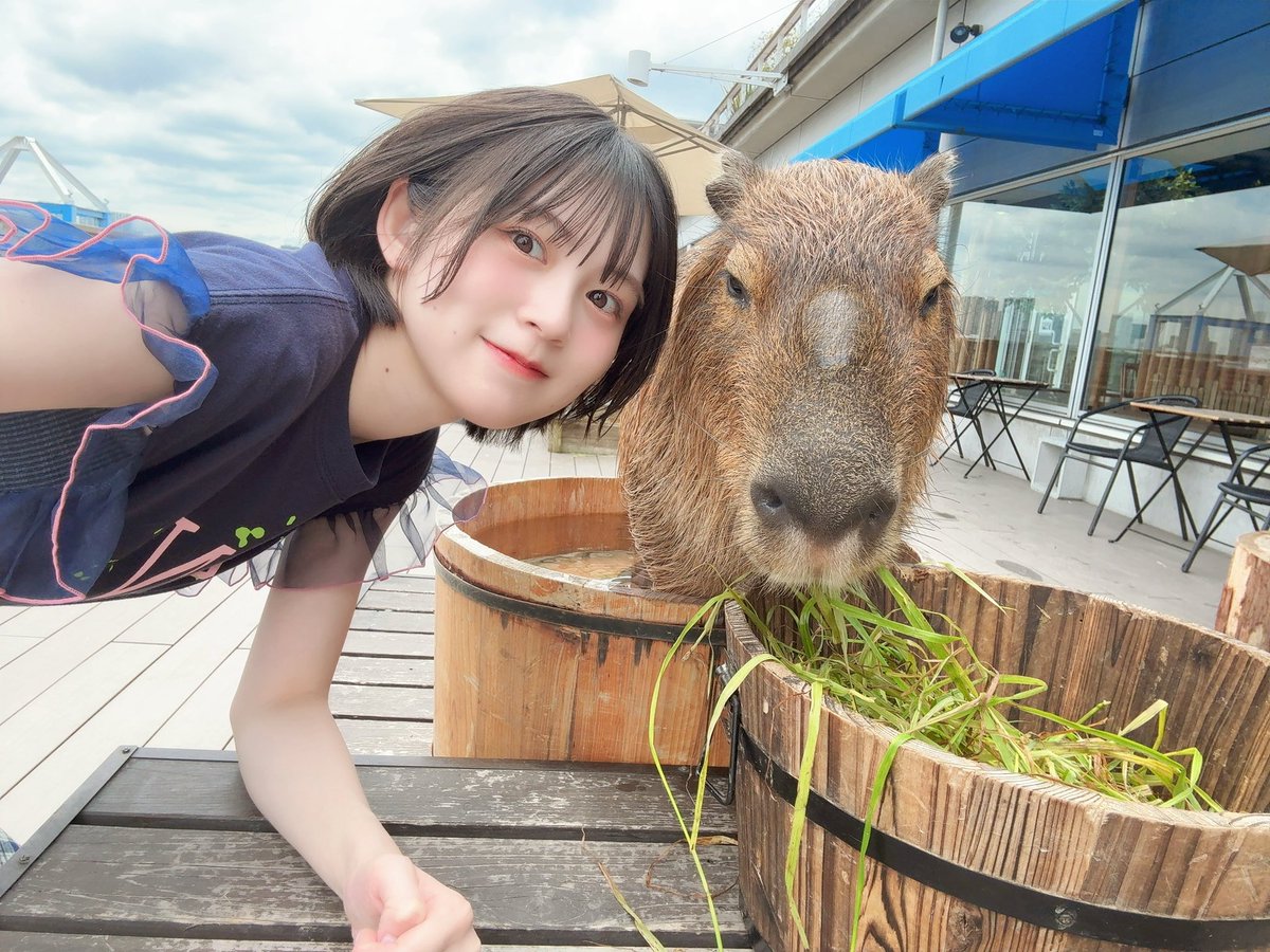バースデーグッズが続々と届き始めているみたいだねー！！ 今回の