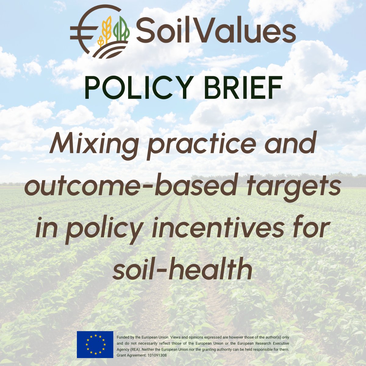 SoilValues tweet media