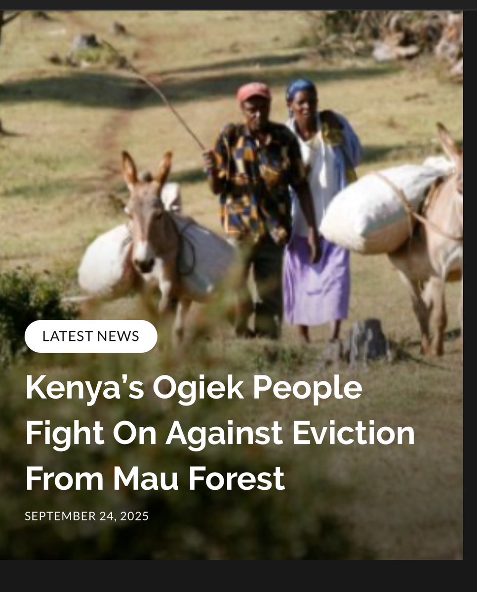 Africa Indigenous Times Media (@indigenoustimez) on Twitter photo  Africa Indigenous Times Media (@indigenoustimez) on Twitter photo