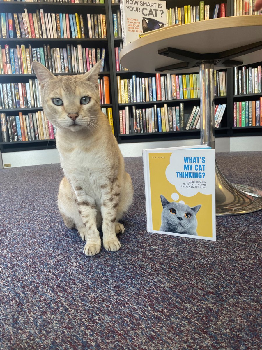 BlackwoodLib's tweet image. Dewch o hyd I’ch darlleniad perffaith yn llyfrgell Coed duon 😻📖❤️
Find your purrfect read at Blackwood Library. 😻📖❤️