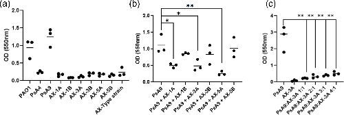 MicrobioSoc's tweet image. The cystic fibrosis pathogen Achromobacter xylosoxidans inhibits biofilm formation of Pseudomonas aeruginosa. Published Open Access and fee-free in JMM using a Publish and read agreement: doi.org/10.1099/jmm.0.… #JMedMicro #PublishAndRead
