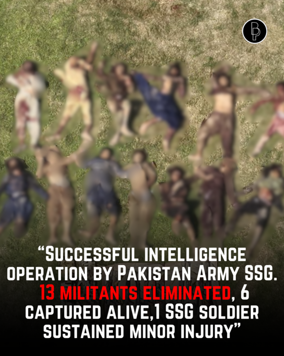 BalochPulse's tweet image. SSG carried out an intelligence-based operation in Dir Upper, eliminating 13 militants, arresting 6, with one soldier slightly injured. A strong blow to terror, a step forward for peace. #SSG #upperdir #dir #terror #antiterrorism #balochistanpulse
