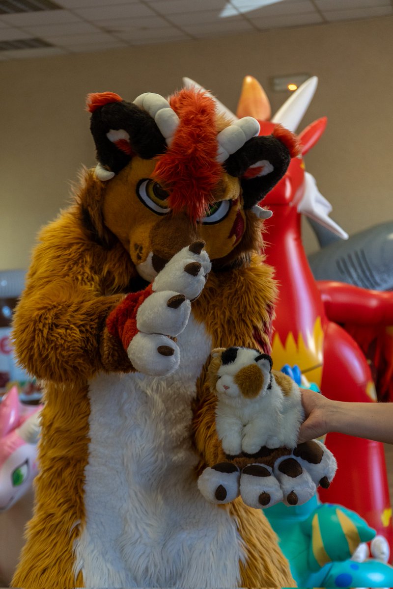 Voici d'autres photo de notre  événement   quia eu lieu en aout