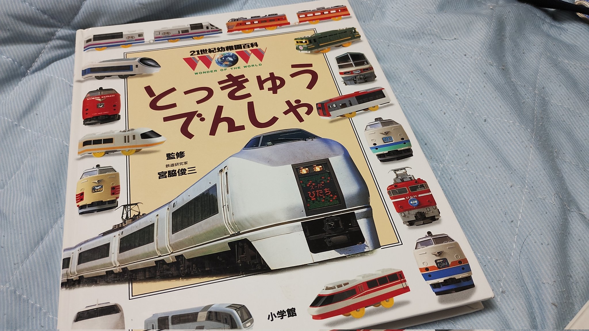 るぅたんページ エブリデイ Z/X Life!