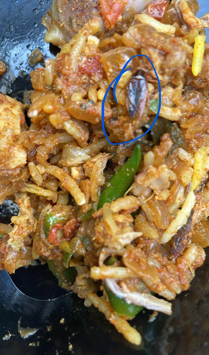 krishnaellenki's tweet image. @cfs_telangana There was a dead cockroach in the biryani rice. Please take necessary action on this shameless restaurant. Shame on earning money like this Cafe Charminar, Manikonda. I can provide order details, if needed.
#cfs_telangana #poisonfood #healthcode #cockroachfood